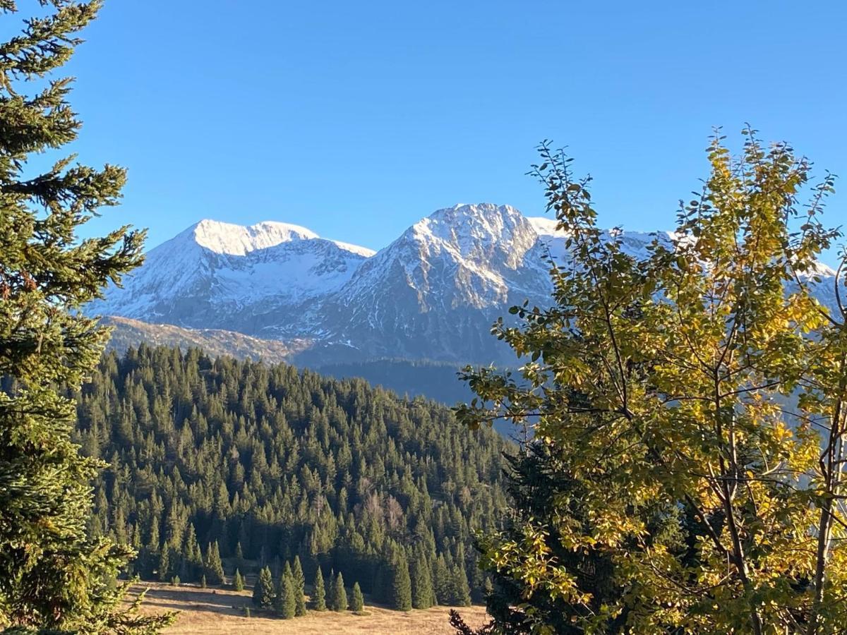 Au Bachat-Bouloud, Appartement 3 Pieces 6 Personnes Avec Balcon Plein Sud Chamrousse Zewnętrze zdjęcie