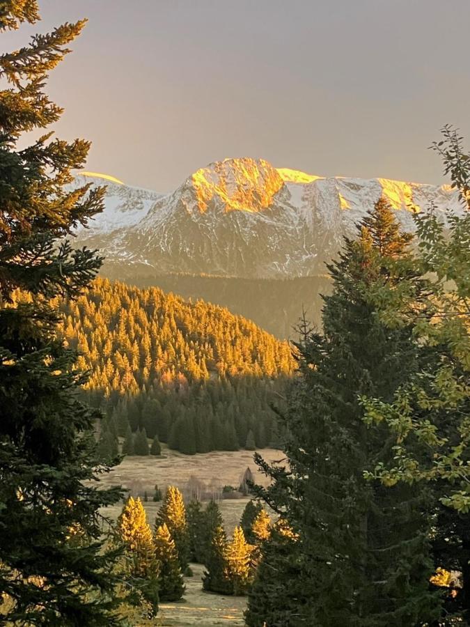 Au Bachat-Bouloud, Appartement 3 Pieces 6 Personnes Avec Balcon Plein Sud Chamrousse Zewnętrze zdjęcie