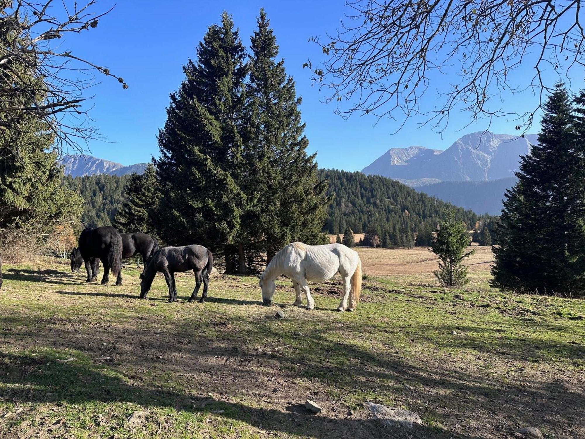 Au Bachat-Bouloud, Appartement 3 Pieces 6 Personnes Avec Balcon Plein Sud Chamrousse Zewnętrze zdjęcie